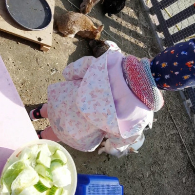 Fütterung mit den Kinder