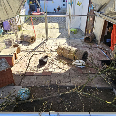 Aussengehede Aussengehede