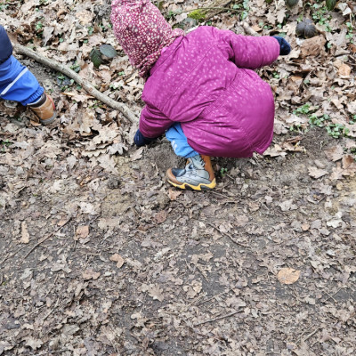 Waldtag