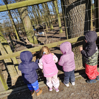 Wildgehege Wildgehege